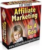 Thumbnail Affiliate Marketing In A Box - Liz Tomey