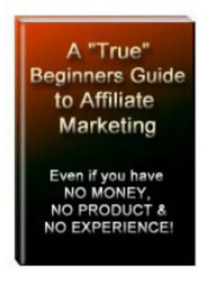 Product picture A True Beginners Guide To Internet Marketing