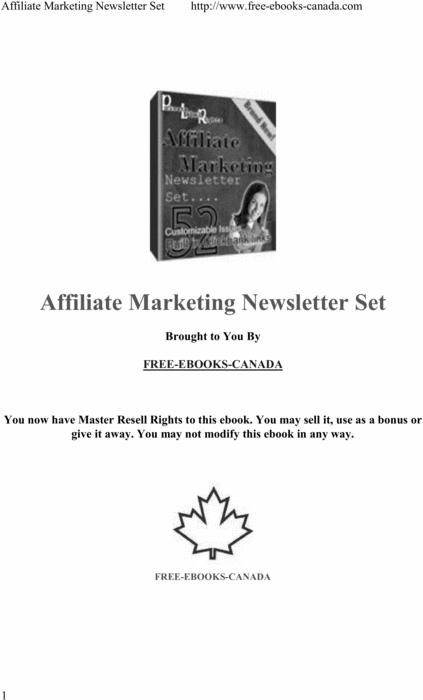 Product picture Affiliate Marketing Newsletter Set